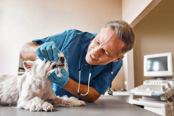 Best Tooth Pain Emergency Relief  in Blanco, TX